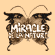 miracle_de_la_nature
